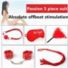 Lot BDSM 5 pieces