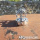 Cage CBT anneau menottes