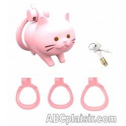 cage de chasteté chat mignon
