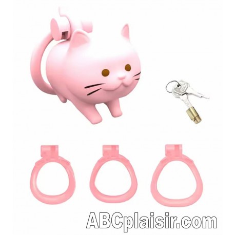 cage de chasteté chat mignon